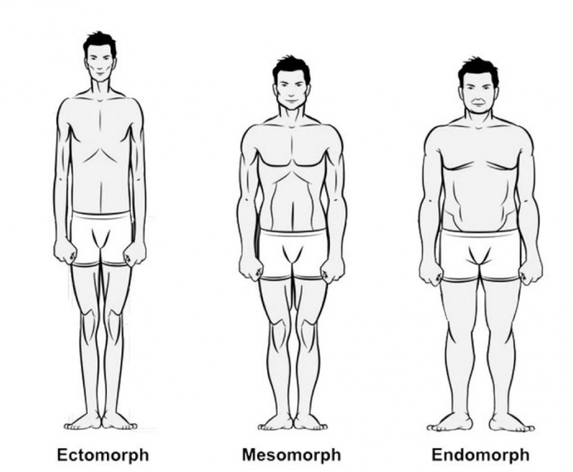 5 tipos de cuerpo masculino según su tipología