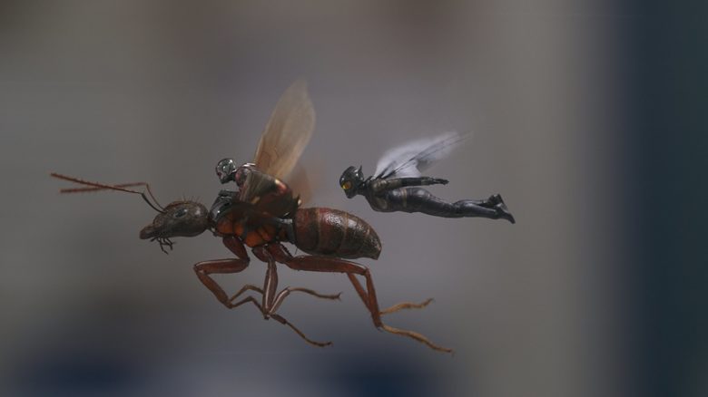 Ant Man y la Avispa