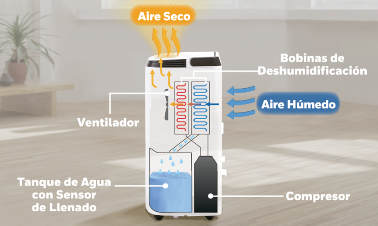 ¿Por qué es bueno tener un Deshumificador en casa en esta temporada ...